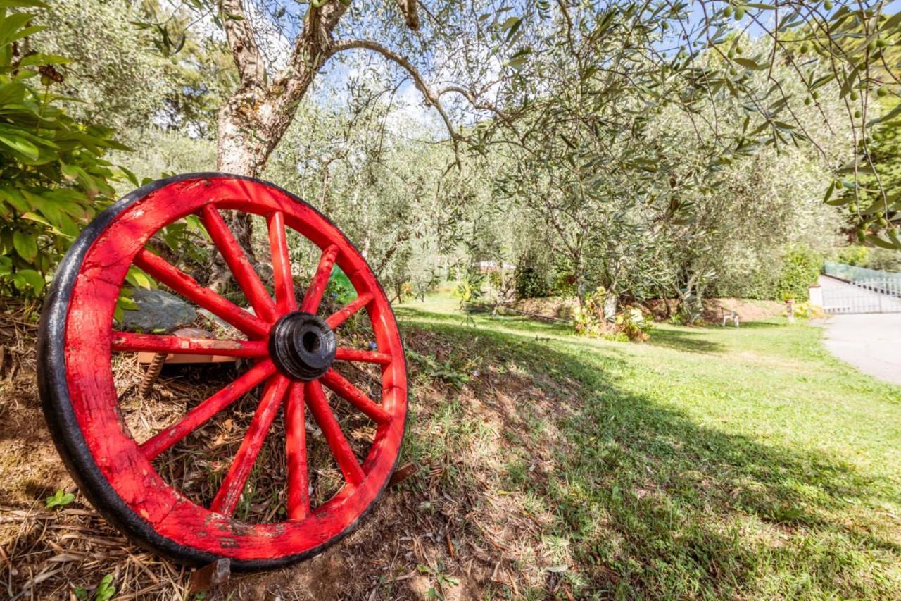 בית הארחה Santa Maria Albiano 	Al Giardino Degli Ulivi מראה חיצוני תמונה